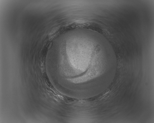 X0000050651109200506151603