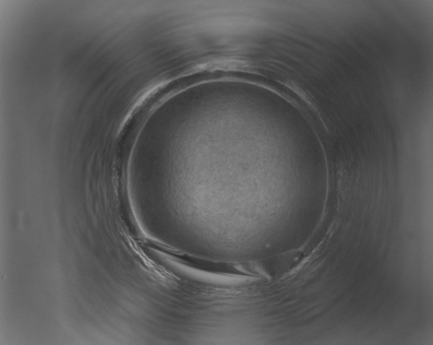 X0000050651115200506151603