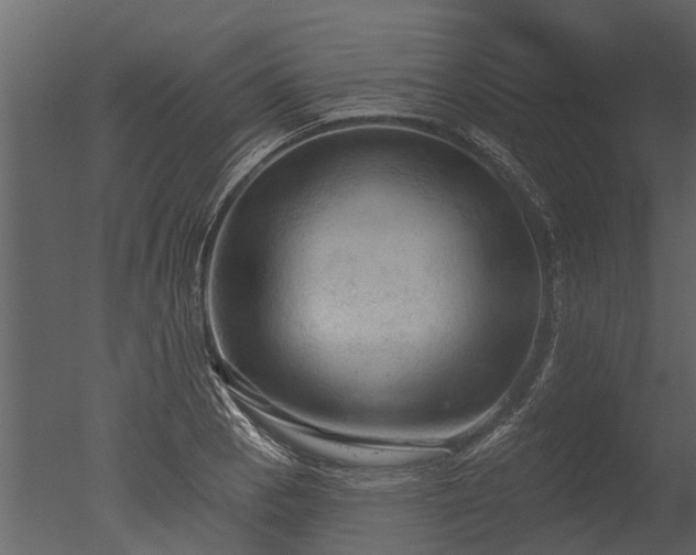 X0000050651129200506151603