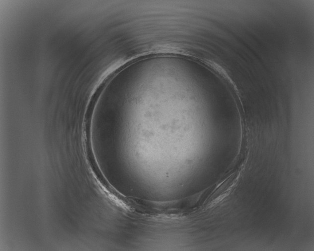 X0000050651133200506151603