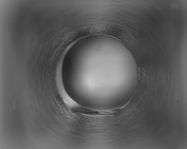 X0000050651153200506151602
