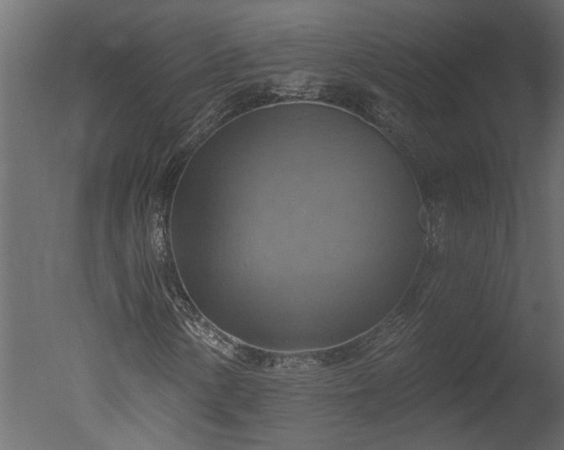 X0000050651154200506151602