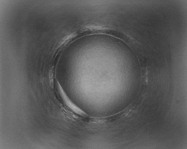 X0000050651157200506151602