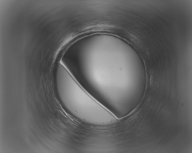 X0000050651164200506151602