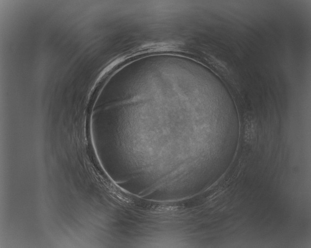 X0000050651174200506151602