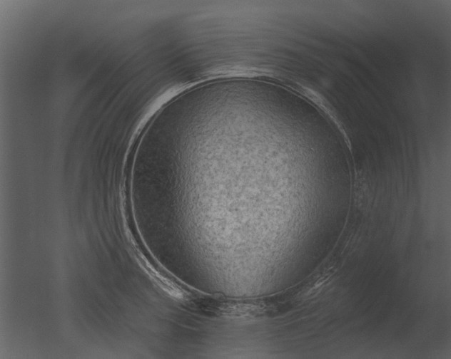 X0000050651187200506151602