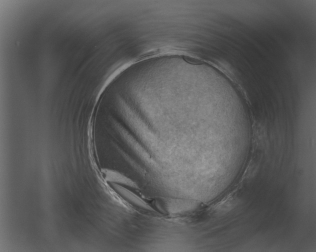 X0000050651198200506151602