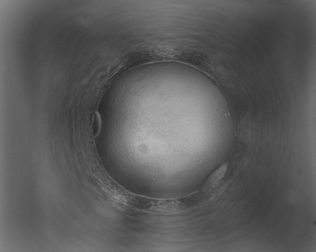 X0000050651201200506151601
