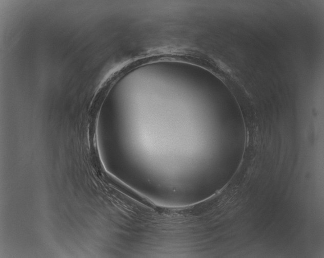 X0000050651214200506151601
