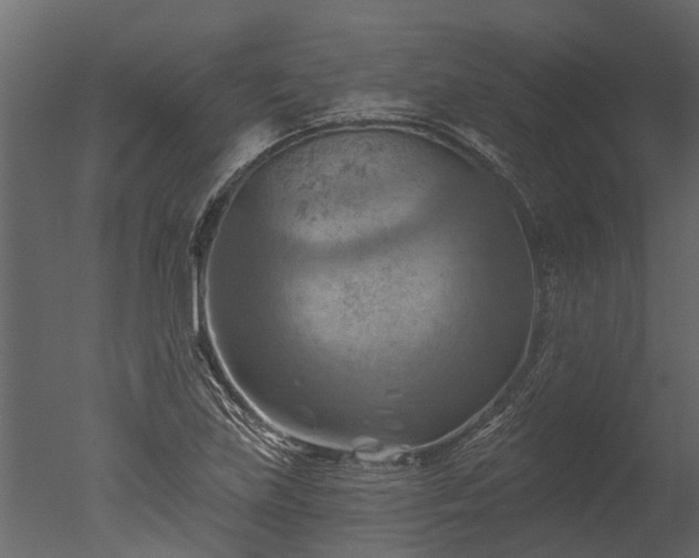 X0000050651219200506151601