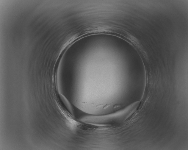 X0000050651234200506151601