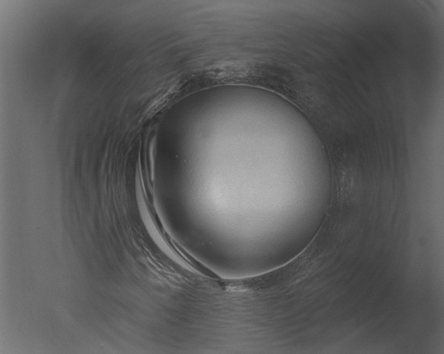 X0000050651250200506151601