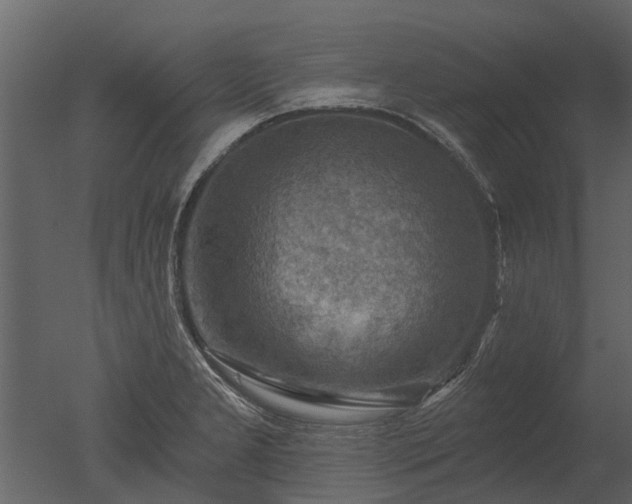 X0000050651277200506151600
