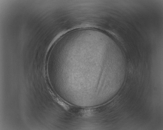 X0000050651278200506151600