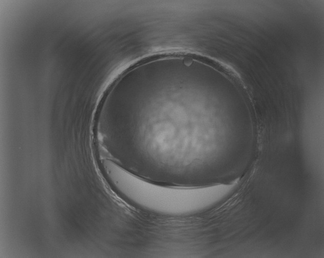 X0000050651279200506151600
