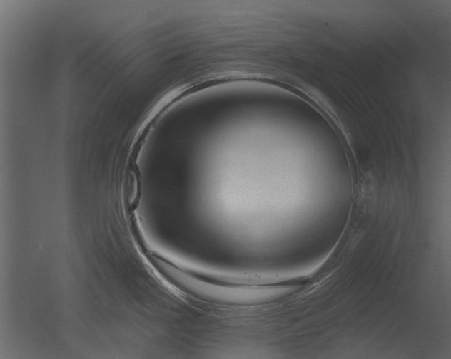 X0000050651293200506151600