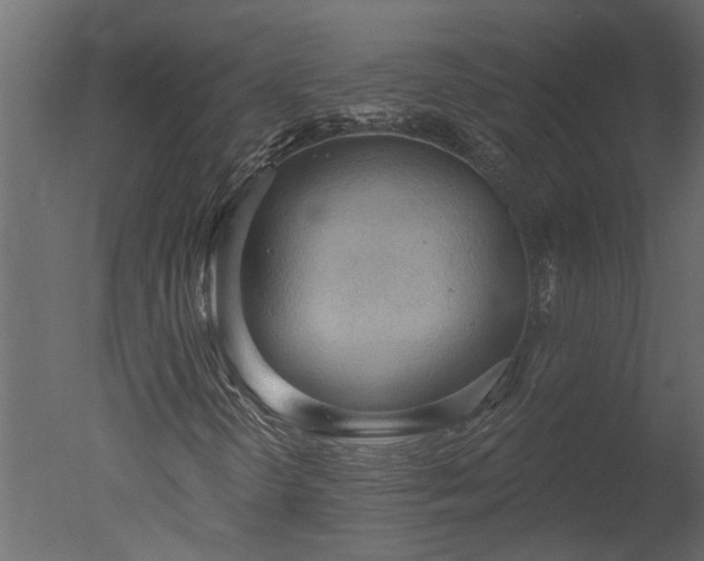 X0000050651298200506151559