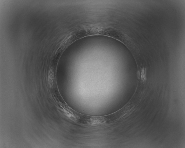 X0000050651299200506151559
