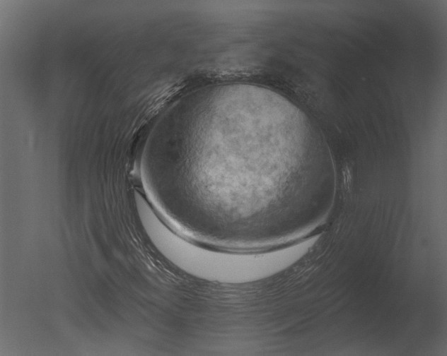 X0000050651300200506151559