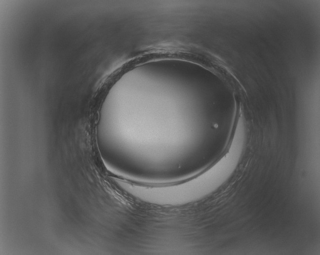 X0000050651304200506151559