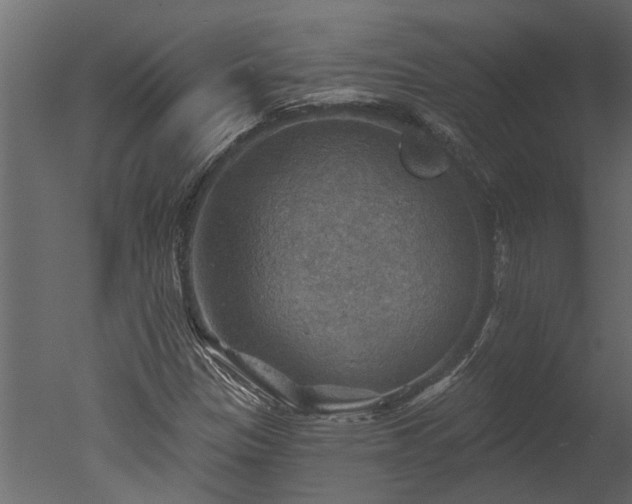 X0000050651305200506151559
