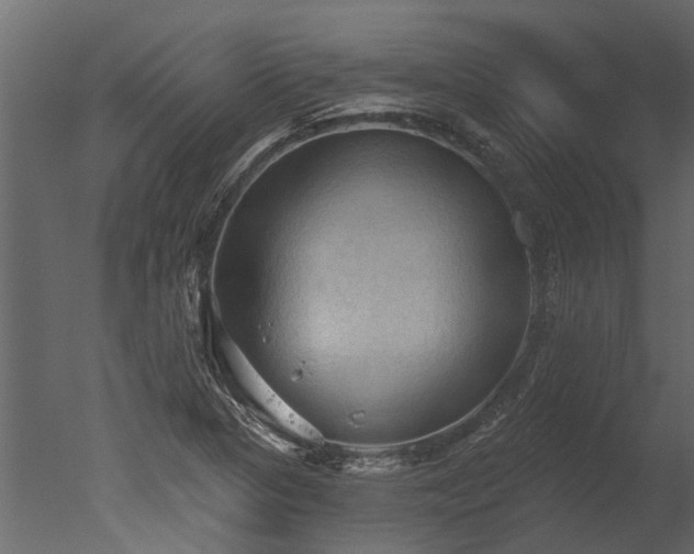 X0000050651313200506151559