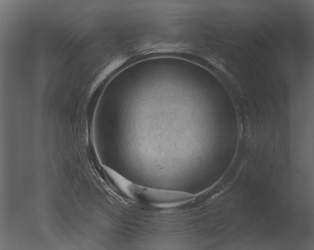 X0000050651317200506151600