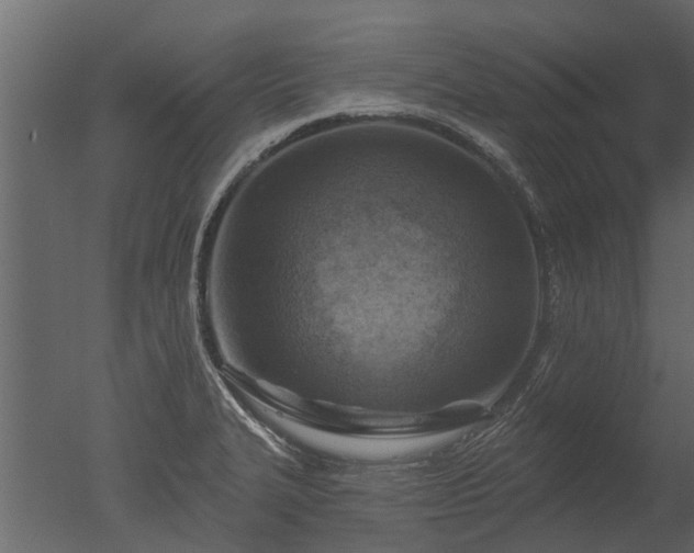 X0000050651327200506151600