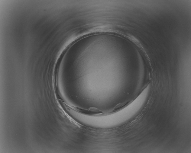 X0000050651334200506151600