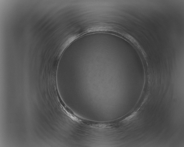 X0000050651337200506151600