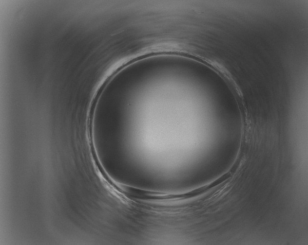 X0000050651342200506151600