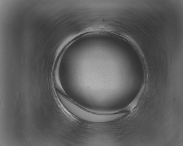 X0000050651344200506151600
