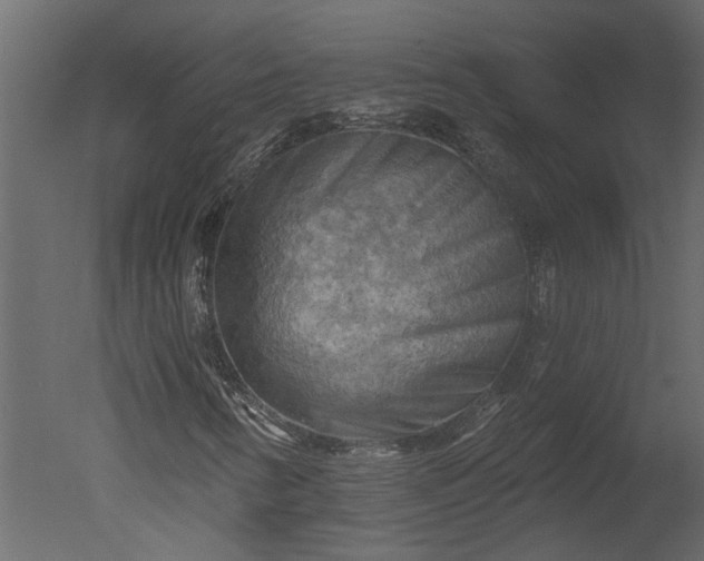 X0000050651346200506151559