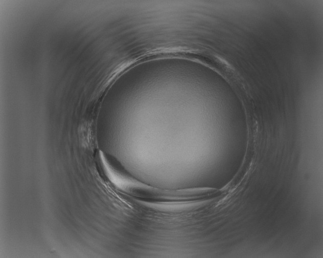 X0000050651361200506151559