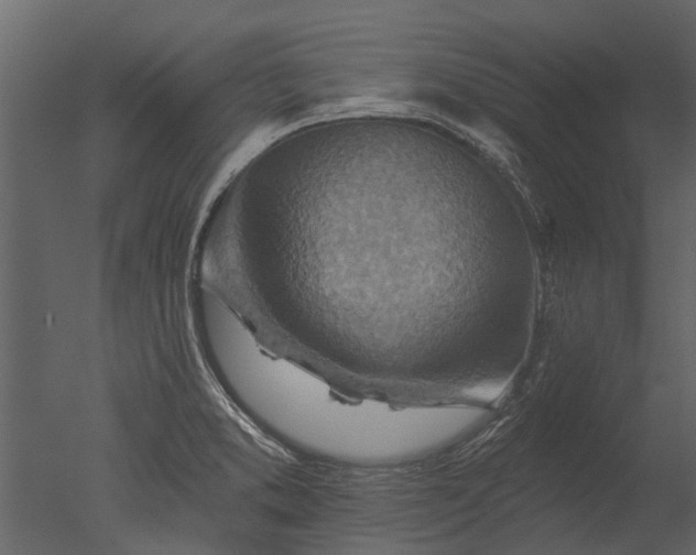 X0000050651373200506151559