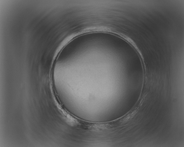 X0000050651389200506151558