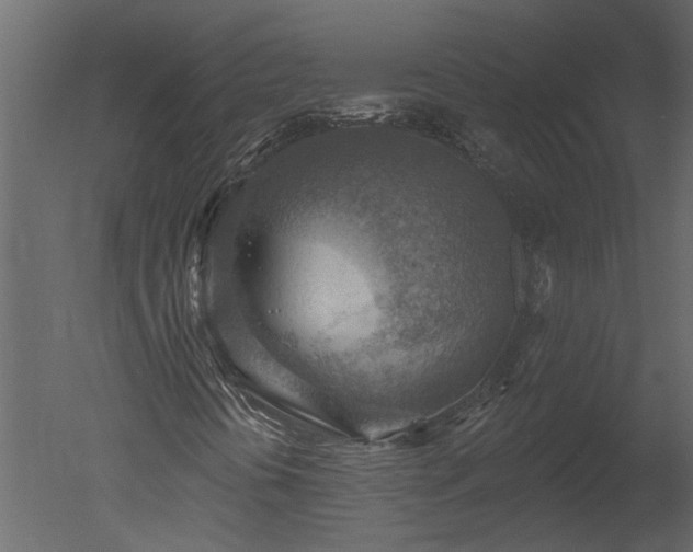 X0000050651394200506151558