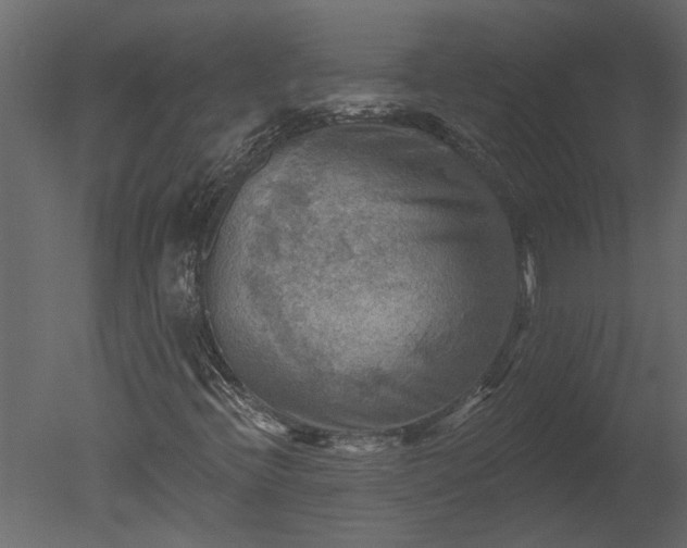 X0000050651396200506151558