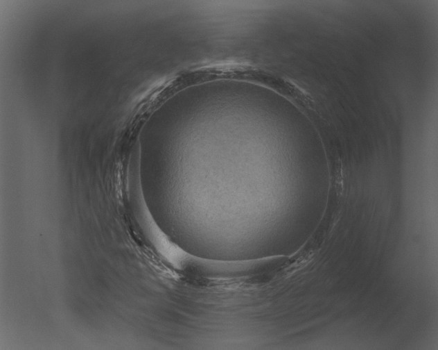 X0000050651398200506151558