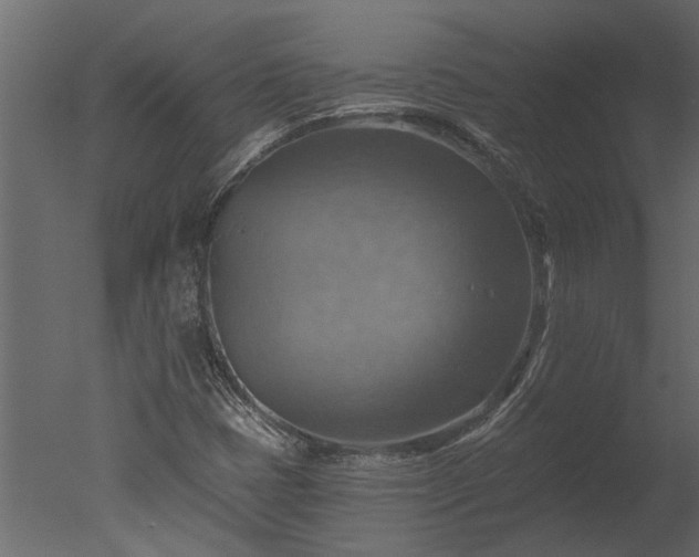 X0000050651401200506151558