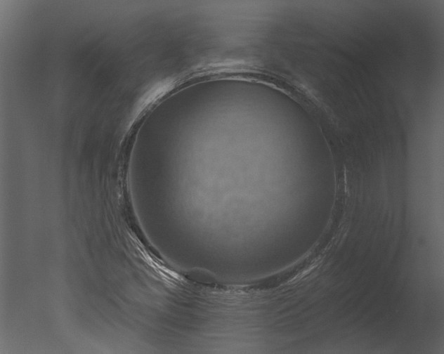 X0000050651405200506151558