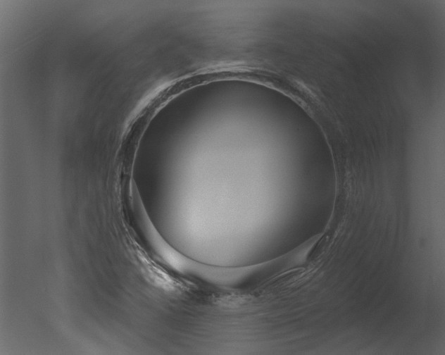 X0000050651406200506151558