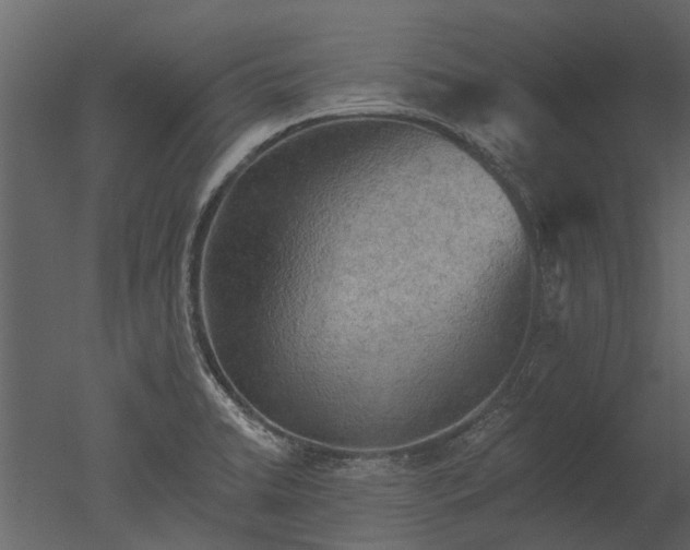 X0000050651422200506151558