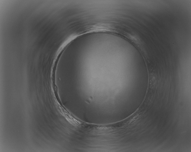 X0000050651427200506151558
