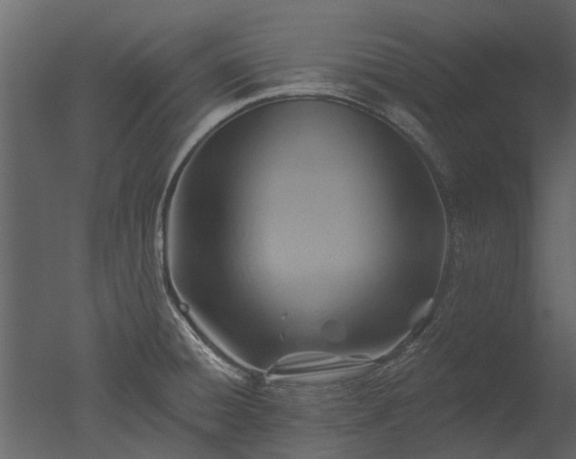 X0000050651428200506151558