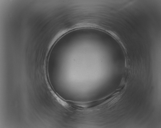 X0000050651438200506151558