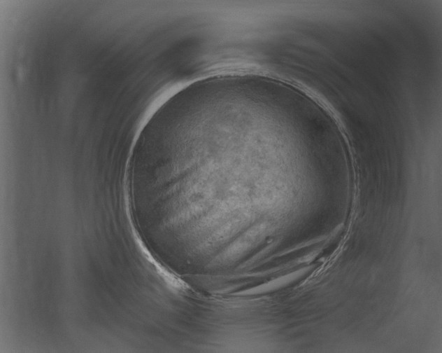 X0000050651440200506151558