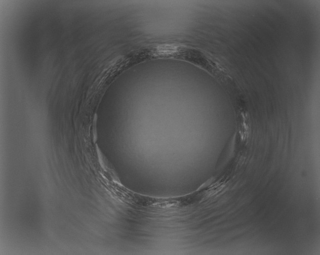 X0000050651441200506151558