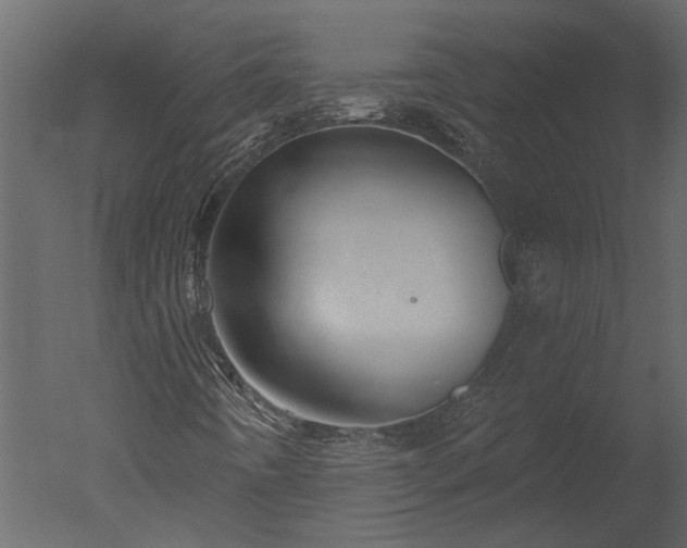 X0000050651442200506151558