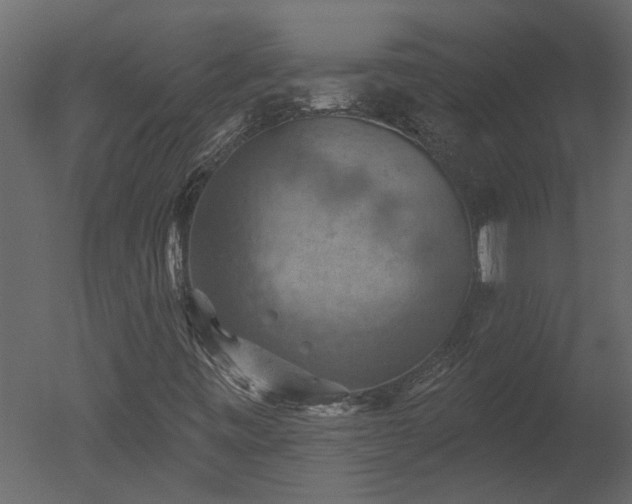 X0000050651443200506151558